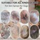 thumbnail image 3 of 3X Cassiel Pet - Dog & Cat Skin Spray, Pet Skin Care Spray, Natural Soothing Spray 30ML*3, 3 of 5