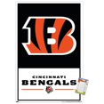 thumbnail image 1 of NFL Bengals de Cincinnati - Logo 21, 1 of 4