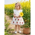 thumbnail image 3 of Miaouyo Toddler Girls Dress Cherry Embroidered Layered Tulle Bowknot Front Crew Neck Fly Sleeve Casual Dress Baby Summer Dress, 3 of 9