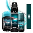thumbnail image 3 of Garnier Obao Cool Metal 65 gr./, 3 of 3