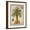 Brown Frame, variant on Art.com Linen Date Palm Tree Art Print by Chad Barrett, 12" x 16"
