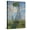Canvas, variant on Art.com Woman With Parasol Giclee Print by Claude Monet, 12" x 16"