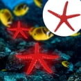 thumbnail image 2 of Aquarium Simulation Étoile de Mer, Rouge, Bleu Simulation Étoile de Mer, Sûr Merveilleux pour les Poissons Bleu, Rouge, 2 of 8