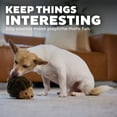 thumbnail image 4 of Outward Hound Hedgehogz Stuffed Dog Toy – Soft Plush Hedgehog, Squeaks, 6" x 4" x 4.5", 4 of 4