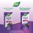 thumbnail image 5 of (3 pack) Nature's Way Sambucus Immune Elderberry Syrup, Zinc & Vitamin C, Dietary Supplement, Unisex, 4 fl oz, 5 of 10