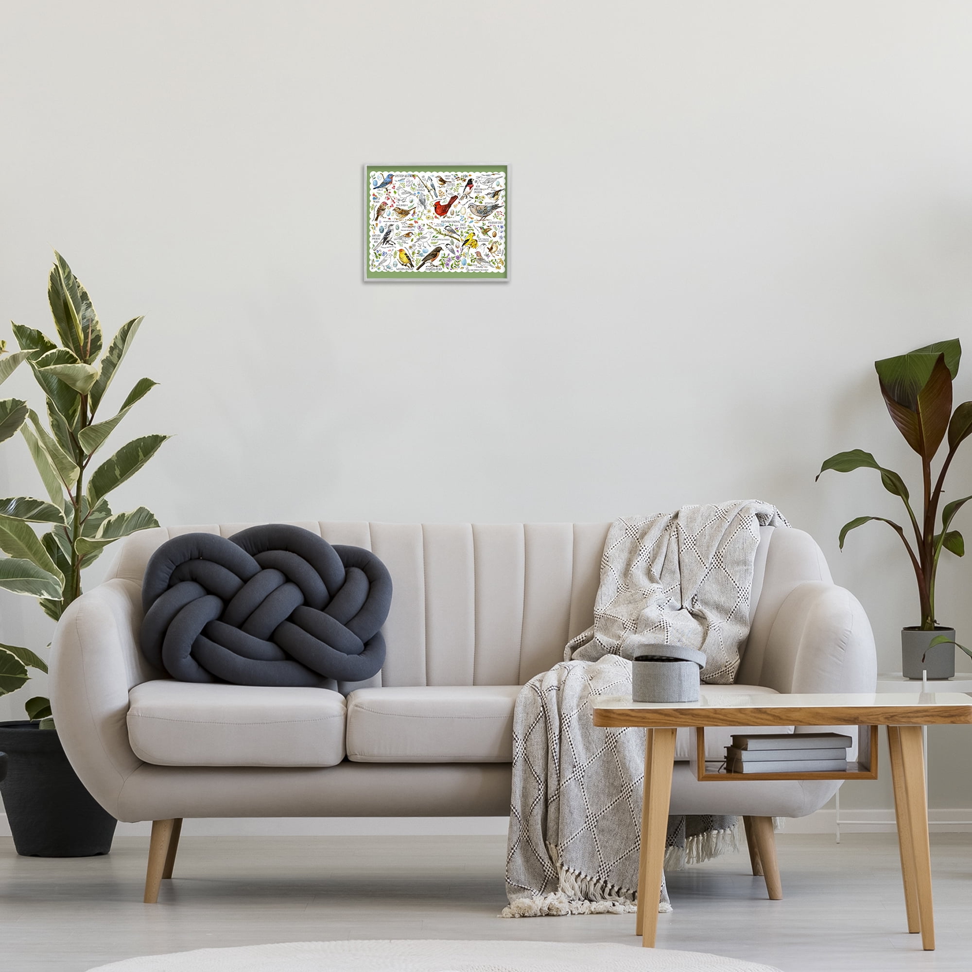 Stupell Industries Various Bird Species Animals & Insects Painting Gray Framed Art Print Wall Art, 14 x 11