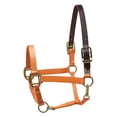 thumbnail image 1 of Perri's Breakaway Adjustable Horse Halter, 1 of 1