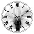 thumbnail image 1 of Designart 'Dendrobium On Back X-Ray Orchid' Grande Horloge Murale Cottage, 1 of 5