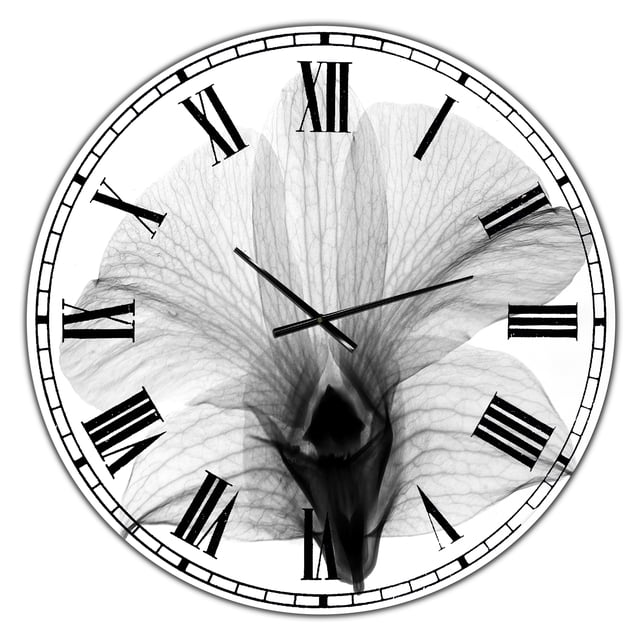 Designart 'Dendrobium On Back X-Ray Orchid' Grande Horloge Murale Cottage