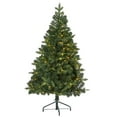 thumbnail image 1 of Arbre de Noël Artificiel Grand Teton Épinette 5 Pi. avec 120 Lumières LED Claires et 514 Branches Pliables, 1 of 1