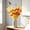 Yellow, variant on 5-Pack Artificial Pampas Grass & Butterfly Orchid Stems, Fall Faux Silk Flower Bouquet for Home Wedding Party Indoor Garden Decor