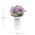 thumbnail image 4 of Proven Winners 1.5PT Purple Petunia Live Annual Plant Sun 5-Pack, 4 of 6