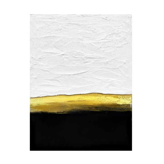 Trademark Fine Art Alyson Storms Black and White Golden Night Canvas Wall Art