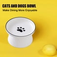 thumbnail image 5 of Platos elevados de cerámica para gatos o cuencos para perros, comida para mascotas o cuencos de agua, 5 of 5