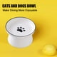 thumbnail image 5 of Platos elevados de cerámica para gatos o cuencos para perros, comida para mascotas o cuencos de agua, 5 of 5