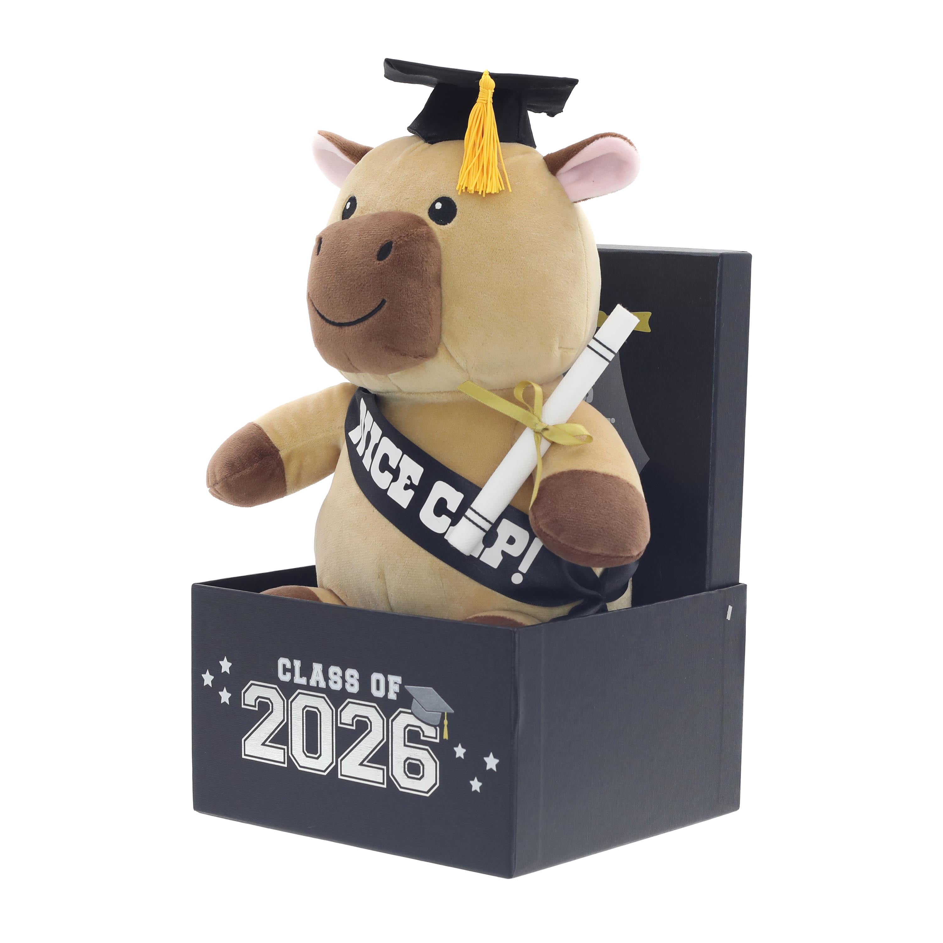 Class of 2026 Graduation Capybara Plush in Gift Box by Way to Celebrate