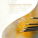 thumbnail image 5 of Incienso con aroma premium - Ingredientes naturales Punto Aroma  Canela, 5 of 8