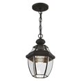 thumbnail image 4 of Livex Lighting Lumiere Suspendue Extérieure 1 Lumière 2152-02, 4 of 5