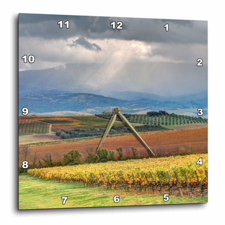 3drose, Italy, Tuscany. Colorful Autumn Vineyards and Olive Trees in Tuscany, 10x10 Wall Clock