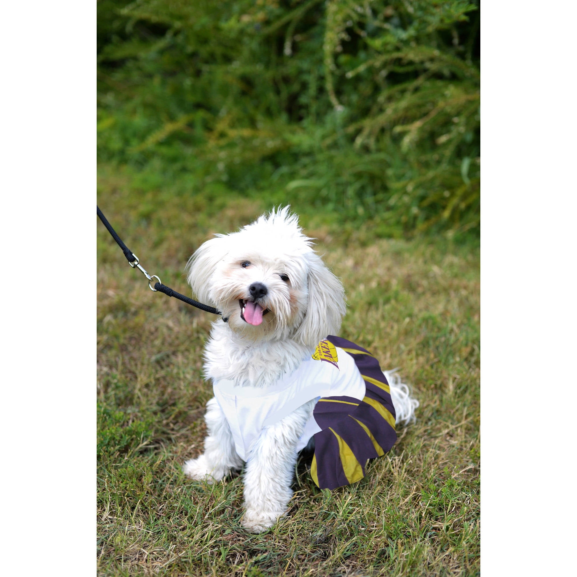 Los Angeles Lakers Dog Jerseys, Lakers Pet Carriers, Harness