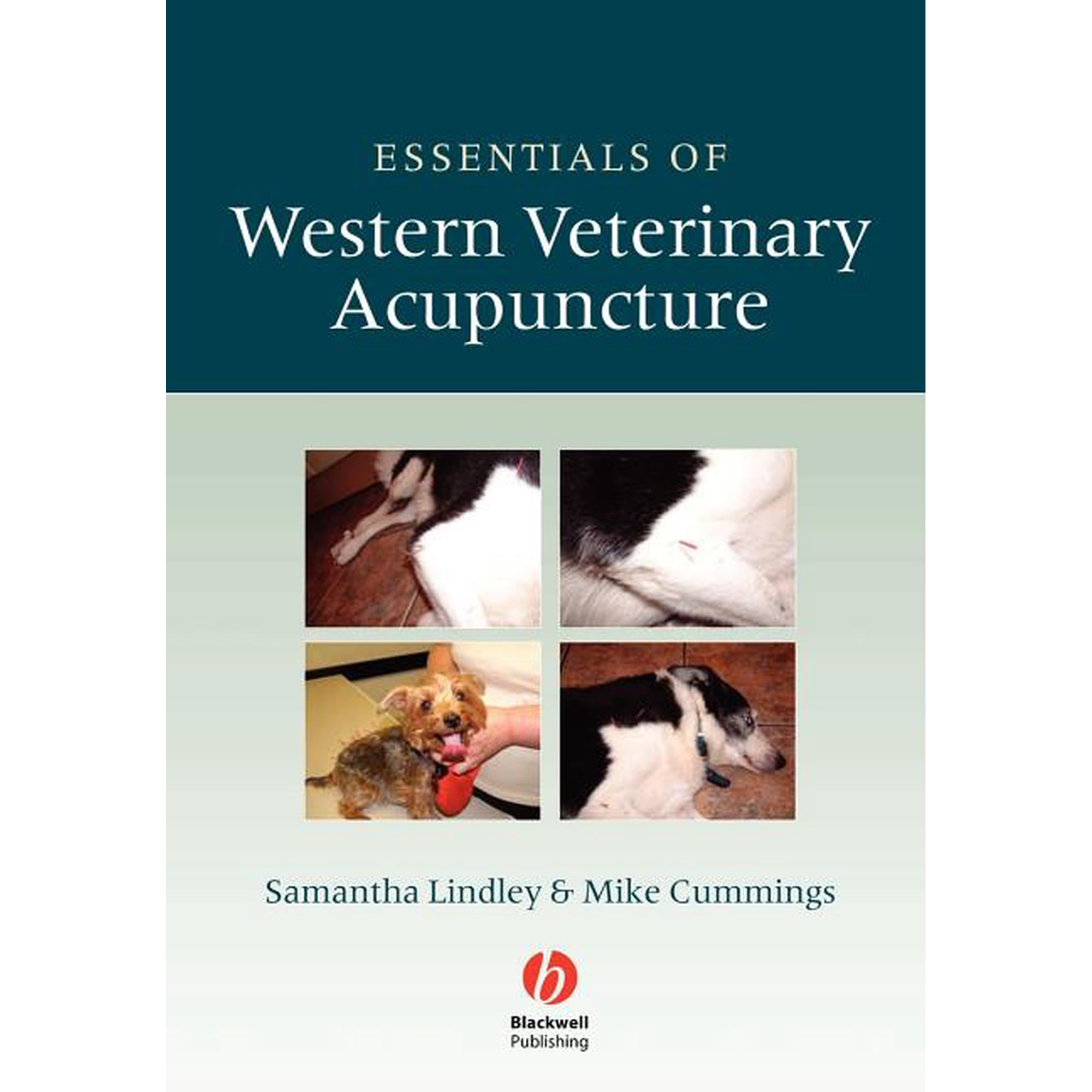 Essentials Western Vet Acupuncture, (Paperback)
