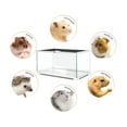 thumbnail image 3 of OiiBO 360 Rotation Knock-Down 10 Gallon  Glass Reptile Habitat,  White, 3 of 8