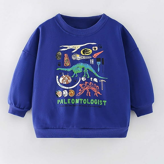 HAOTAGS Toddler Girls Boys Unisex Sweatshirts, Long Sleeve Solid Casual Crew Neck Pullover Top Graphic Print Blue 7 T
