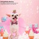 thumbnail image 5 of Vestido para fiesta de cumpleaños para perros, paquete de 3, falda rosa para mascotas, corona de tutú, sombrero brillante, lazo, corbata ajustable para el cuello, aniversario de bodas para perros, 5 of 5
