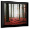 thumbnail image 1 of Meyerdierks, Carsten 15x15 Black Modern Framed Museum Art Print Titled - Autumnal Tracks, 1 of 5