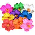thumbnail image 1 of HLONK 3 PCS/Set Barrettes for Girls Tropical Flower Hair Accessories, 1 of 8