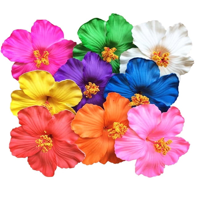 HLONK 3 PCS/Set Barrettes for Girls Tropical Flower Hair Accessories
