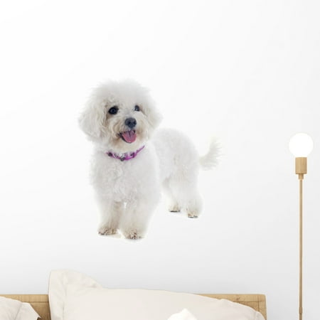 Bichon Sticker - Bichon Frise Wall Decal Sticker by Wallmonkeys Vinyl Peel and Stick Graphic (18 in H x 14 in W)