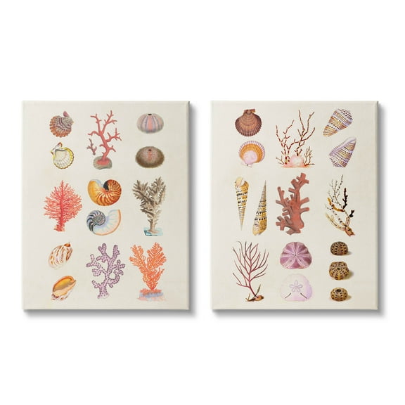 Stupell Industries Varied Aquatic Sea Life Graphic Art Gallery Wrapped Canvas Print Wall Art, Set of 2, Design by Vision Studio