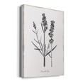 thumbnail image 2 of Simply Lavender Premium Gallery Wrapped Canvas - Ready to Hang - 32 x 48, 2 of 9