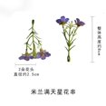 thumbnail image 2 of 50pcs , Photography of the flower wall decoration for the wedding path in the countryside with a string of simulated Milan asters, 2 of 2