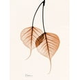 thumbnail image 2 of Koetsier, Albert 15x18 Gold Ornate Wood Framed with Double Matting Museum Art Print Titled - Bodhi Tree orange, 2 of 4