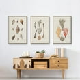 thumbnail image 6 of Knorr Shells & Coral IV - Framed Premium Gallery Wrapped Canvas L Frame 3 Piece Set - Ready to Hang, 6 of 9