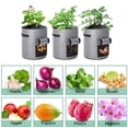 thumbnail image 3 of Clearance! Titcea Potato Grow Bags, 7 Gallon Window Vegetable Grow Bags with Flap and Handles, Double Layer Breathable Nonwoven Cloth Fabric Pots for Tomato, Vegetable and Fruit, 3 of 8