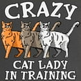 thumbnail image 2 of CafePress - Crazy Cat Lady Maternity Dark T Shirt - Maternity Dark T-Shirt, 2 of 3