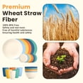 thumbnail image 4 of Homienly 24-Piece Wheat Straw Dinnerware Set, Plates, Bowls & Cups, Microwave & Dishwasher Safe, Multi Color, 4 of 8