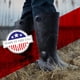 thumbnail image 2 of Bota DUNLOP Chesapeake Impermeable Ligera de PVC Negra, 2 of 6
