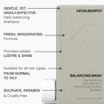 thumbnail image 4 of Champú KEVIN MURPHY Jabón equilibrante 250 ml, 4 of 5