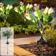 thumbnail image 1 of Lámpara solar para exteriores con 5 tulipanes, resistente al agua, con estaca, decorativa de plástico, para jardín y patio., 1 of 6