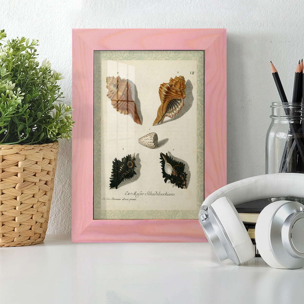 Bookplate Shells I - Framed Print w/glass - Sunset Pink