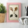thumbnail image 6 of Bookplate Shells I - Framed Print w/glass - Sunset Pink, 6 of 8