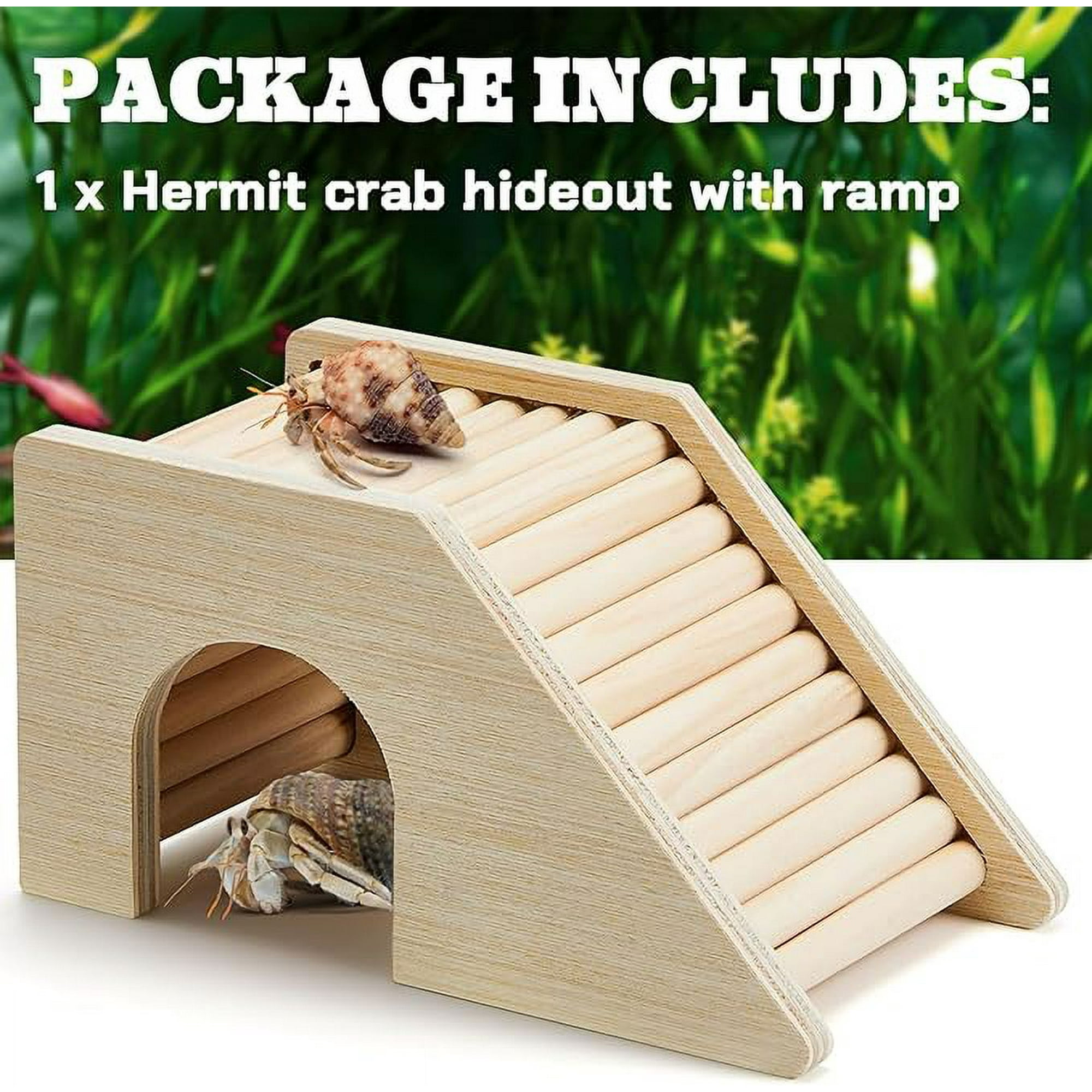 Hermit crab supplies walmart online