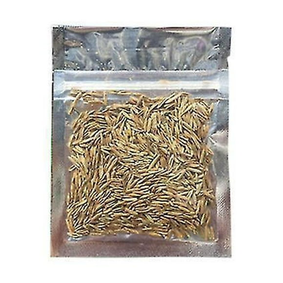 Aquarium Ornament Plant Seeds Fish Tank Landscape Decoration Water Grass Seed Easy To Grow