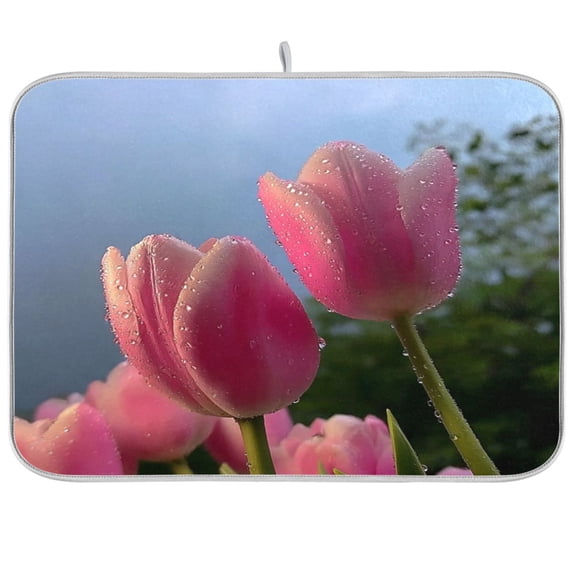 Iauyy Dish Drying Mat for Kitchen Counter, Super Absorbent & Hanging 16x18 / 18x24 Inch (S/M) with Dewdrops on The Petals