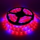 thumbnail image 1 of Tiras de luz LED para cultivo de plantas de 5 m con adaptador de corriente y regulador de intensidad, espectro completo rojo/azul 4:1, para invernaderos y acuarios., 1 of 4
