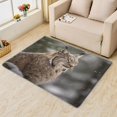 thumbnail image 3 of Bobcat Rug 2x3 Area Rugs, Wildcat Rugs for Entryway, Wild Animal Carpet for Bedroom Living Room, Machine Washable Non-Slip Indoor Door Mat, Soft Low Pile Area Rug, Small Decorative Rug d&ip103, 3 of 6